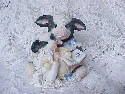 Mary Moo Moos Pasture Bedtime