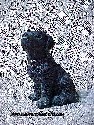 Stone Critter - Black Labrador