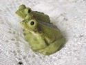 Stone Critter Frog Couple Littles