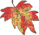 fall leaves bar