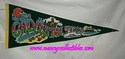 Souvenir Pennant - Galveston, Texas