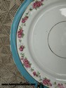 Royal China Staffordshire Pattern