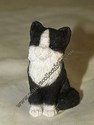 Black & White Kitten - sold