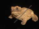 Stone Critter - Horned Toad-sold