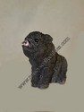Stone Critters - Pot Bellied Pig