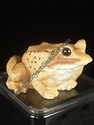 Stone Critter - Wood Frog  - sold