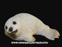 Harp Seal