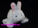 Webkinz Rabbit